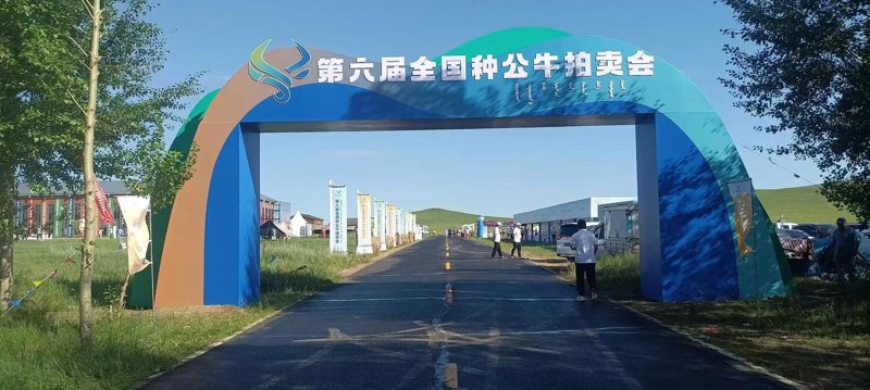 呼和浩特影视制作:城市文化的视觉使者